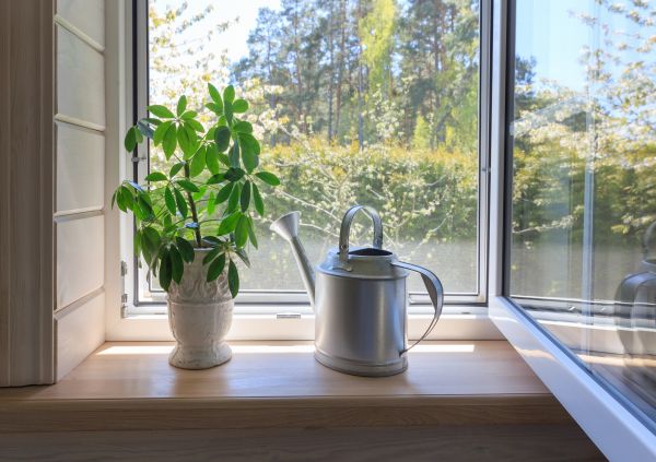 Cost of Garden Window Repair in Richardson
